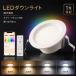 LED�_�E�����C�g ��100 LED�_�E�����C�g�������F RGB �V�䖄������̌^ led�d�� �����R���t�� 100W�`�����d���F �����F�����F�^�C�}�[���ߍ��ݎ�led�C��SB�`����