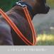 [Julius-K9][�����E�X�P�[�i�C��] �X�[�p�[�O���b�v���[�h�P�Q�O�����y���{���㗝�X���c�X�z �֘A�摜2