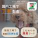 �i�`�������h�b�O�t�[�h [1stDogFood] 3�L�� �֘A�摜4