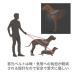 �y���x���v���[���g���I���{���z�yJulius K9���{���㗝�X���c�X�z�����E�X�P�[�i�C���E�h�c�b�p���[�n�[�l�X�j���[�J���[ MINI�T�C�Y�@ �֘A�摜3