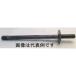  BC ѥ졼 ϻѺ¶1 8 5/16 825