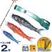  koinobori Tokunaga common carp koinobori veranda for 2m Royal set . gold paint string month . common carp water repelling processing polyester silky bright house .* name inserting possibility 120-260