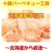 北海道産　業務用　鶏手羽元　2ｋｇ（約40本入り）　（ブロック かたまり）肉