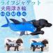 ���p ���C�t�W���P�b�g ��񂿂��p ���^ ���^ �� ���V�� �C �쐅�j �y�b�g ���p ���^�� ���j���K �y�b�g ���C�t ���S ���S