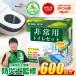 ���p�g�C�� 600�� �Ìō� �ȈՃg�C�� �h�Ѓg�C�� �g�уg�C�� ���p�g�C���Z�b�g ����