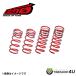 TANABE Tanabe custom springs SUSTEC DF210 номер товара :AAHH40WDK Alphard Vellfire AAHH40W TAHA40W 2023/06~