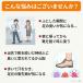 �C���\�[�� �v ���~�� ���L �{�v �v�C ���ɂ��� �T�C�Y�����\ �Ռ��z�� �R�� �h�L ��̔����C �E�H�[�L���O �����Y ���f�B�[�X �ʋC�����Q �|�C���g���� �֘A�摜1