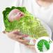  китайская капуста одеяло baby младенец покрывало baby покрывало новорожденный .. воспитание китайская капуста type Tortilla Blanket одеяло осень-зима .
