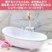 �o�[�h�o�X �� �����їe�� �o�X�^�u �C���R ���� �����p ������ ���p�V�����[ �d���V�����[�t�� �����уP�[�X ���V�� �����C�^ �����V�����[ �V�����[ �y�b�g �� �֘A�摜2