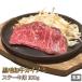  JCm~ ̂ 100g јa Y Xe[Lp Ԑg ~ 󏭕    Mtg Ε  BBQ o[xL[ O Ⓚ