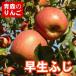  бесплатная доставка Aomori яблоко . сырой ..5kg коробка для бытового использования .. four season 