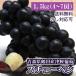 . покупка schu- Ben Special превосходящий L&M размер смешивание примерно 3kg( примерно 10~14. входить ) виноград виноград .. фрукты виноград виноград сок 