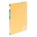 apika бухгалтерская книга leaf золотой sen ...LEAF306 B5