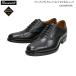  Asics Ran walk men's business shoes shoes 1231A054 MB054C G-TX black 3E asics Runwalk inside feather strut chip GORE-TEX