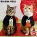ゴロにゃんオリジナル 猫服 ワンタッチコーデシリーズ おめかしして袴気分 猫の着物
