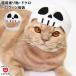  Halloween череп Chan (34667)goro... оригинал кошка. головной убор 
