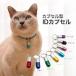  кошка для идентификационная бирка quchitap Capsule type ID Capsule 