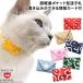 goro... original identification tag my poke cat for cat for .. for 