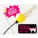 PURRfect перо баунсер (01539) Vee Enterprises производства кошка для игрушка кошка ....FEATHER Bouncer
