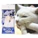  кошка для уход за зубами ma Индия выше кошка . уход .. зуб ...
