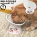  кошка . ножек есть ..... капот миска постоянный наклонный модель mofusand (82107)