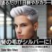 �J���[���b�N�X �V���o�[ �O���[ �V���o�[���b�N�X BABLO POMADE ������ �w�A���b�N�X 50g �֘A�摜1