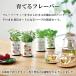 �͔|�L�b�g Grow Flavor ��Ă�t���[�o�[ �͔|�Z�b�g �A�b�v���~���g �������o�[�� ���C���h�X�g���x���[ �J���~�[�� �n�[�u ���킢�� �I�V���� �֘A�摜5