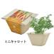 �͔|�Z�b�g BAGASSE GREEN �o�K�X�O���[�� �͔|�L�b�g �O���[�� ��� ���f�B�b�V�� �~�j�L�����b�g ���^�X �T���_�z�E�����\�E �l�M �~�j�g�}�g ���킢�� �֘A�摜2