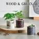  культивирование комплект WOOD &amp; GREEN дерево &amp; зеленый культивирование комплект растения зеленый трава лесная земляника kaktas базилик интерьер симпатичный стиль 