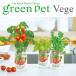 栽培キット 育てるグリーンペットベジ 「即納」 栽培セット 植物 グリーン 野菜 ミニトマト トマト レタス パクチー コリアンダー インテリア 置物 グッズ