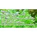 �͔|�L�b�g ��Ă鐅��(L) �͔|�Z�b�g ���� �� ���� �A�� ���킢�� ������� �M�t�g �O���[�� �C���e���A �u�� �O�b�Y �֘A�摜3