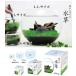 �͔|�L�b�g ��Ă鐅��(L) �͔|�Z�b�g ���� �� ���� �A�� ���킢�� ������� �M�t�g �O���[�� �C���e���A �u�� �O�b�Y �֘A�摜5