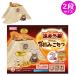 �}���J�� �V���i ���ԊO���ɂ�񂱂� �a�݁i�ɂႲ�݁j�L ������ 2�i ���^���ɂ��I CT-545