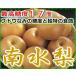 (訳あり) 最高糖度17度 ブドウなみの甘さと独特の食感 長野産 南水梨 約2.3キロ 大玉5〜7個入 梨 南水 和梨