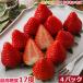 12 month minute reservation Tokushima production Sakura .. strawberry 4 pack approximately 880g go in S10