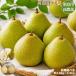 ���_�� ����Y �m�� ��2.8kg�`4.5kg �󂠂� ���E�t�����X �V���o�[�x�� �p�X�E�N���T�� �ƒ�p �Y�n���� �� �ӂ邳�Ɣ[�� �ł͂���܂���