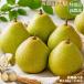 ���_�� ����Y �m�� ��2.8kg�`4.5kg �����p ���E�t�����X �V���o�[�x�� �p�X�E�N���T�� �G�i ����i �Y�n���� �� �ӂ邳�Ɣ[�� �ł͂���܂���