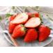 12 month minute reservation strawberry strawberry Sky Berry fruit gift . Tochigi prefecture Sky Berry 4 pack 1080g go in direct delivery from producing area 