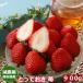 2025 year 1 month minute reservation . pesticide Tottori prefecture production ...... strawberry .. for large grain 30~36 sphere 900g vanity case go in direct delivery from producing area chapter .....SSS