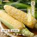 . pesticide Kagawa production morning .. height sugar times corn Dolce Dream 2 box ( total 16~20ps.@) maize 