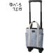  Swany дорожная сумка покупка Cart yu беж ro3 SWANY ходьба D-576 TS15 7L. пожилые люди . соус .... сумка 