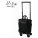 Swany дорожная сумка покупка Cart Pooh foSWANY ходьба D-589 M21 17L. пожилые люди . соус .... стопор имеется 