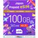 �v���y�C�hSIM�@���[���[�i�@�v���y�C�heSIM 100GB 365�� �����f�[�^�ʐM��p