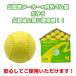 �y���K���z�i�C�K�C ��싅 �v���N�e�B�X�{�[�� M�� (�C�G���[) 1�_�[�X(12��) ��ʁE���w������ M�� ���K�� ���b�s���O�s�� ���� �֘A�摜4