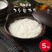  новый рис . мир 8 год производство Kochi префектура производство Koshihikari 5kg 1 пакет . рис рис . рис бесплатная доставка * Hokkaido * Okinawa жители доставка отдельно прибавление 
