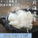 ポイント消化 送料無料 食品 米 お試し お米 1kg未満 北海道ななつぼし 450ｇ(３合)×2袋 メール便 代金引換不可