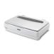 сканер сканер Epson EPSON DS-G30000