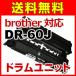 DR-60J соответствует сменный цилиндрическое устройство воспроизведение барабан принтер DR-60