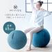  Alinco фитбол she задний 65cm королевский синий MVS365 баланс движение body . тренировка MIVIOSmi vi мужской товары для здоровья 