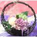 ���ފ� �� ���� ������ ������� �������� �v���U�[�u�h�t�����[������ �a�� �v���U/�͂�Ȃ��� �v���U�[�u�h �䕧�O ���� ������� �l�\��� �����